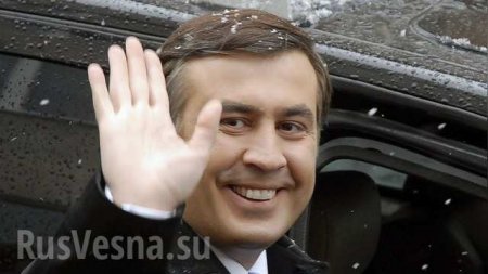 Гастроли начинаются: Саакашвили приехал в Киев обжаловать решение Порошенко