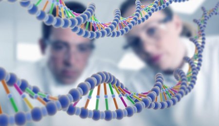 Биологи провели пересчет человеческих генов