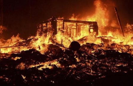 «Земля сгорит в адском огне»: Изменение климата погубит планету в ближайшие ...