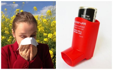 И враг, и друг: Россиянам рассказали, как пережить сезон аллергии при помощи пыльцы и других методов