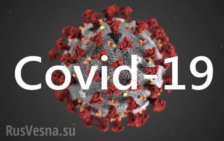 Вторая смерть от COVID-19 зафиксирована в ДНР