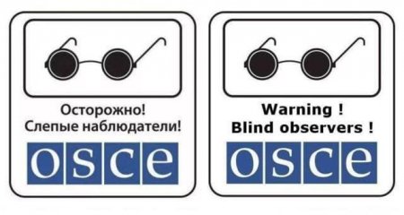 В ОБСЕ заявили о готовности содействовать диалогу по делу наблюдателя СЦКК