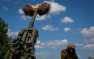 «Ланцеты» уничтожают американские гаубицы М777 у Кременной (ВИДЕО)
