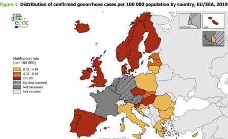 Эпидемии, о которых молчат: сифилис и гонорея в Европейском союзе и США