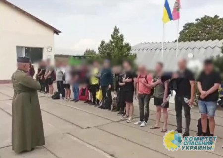 Пойманных в Одесской области уклонистов заставили покаяться