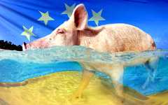 Страны ЕС требуют ещё ужесточить импорт сельхозпродуктов с Украины